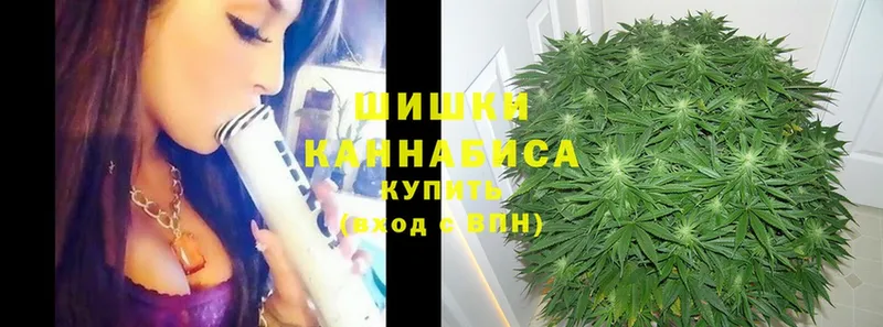 Каннабис White Widow  omg зеркало  Голицыно 